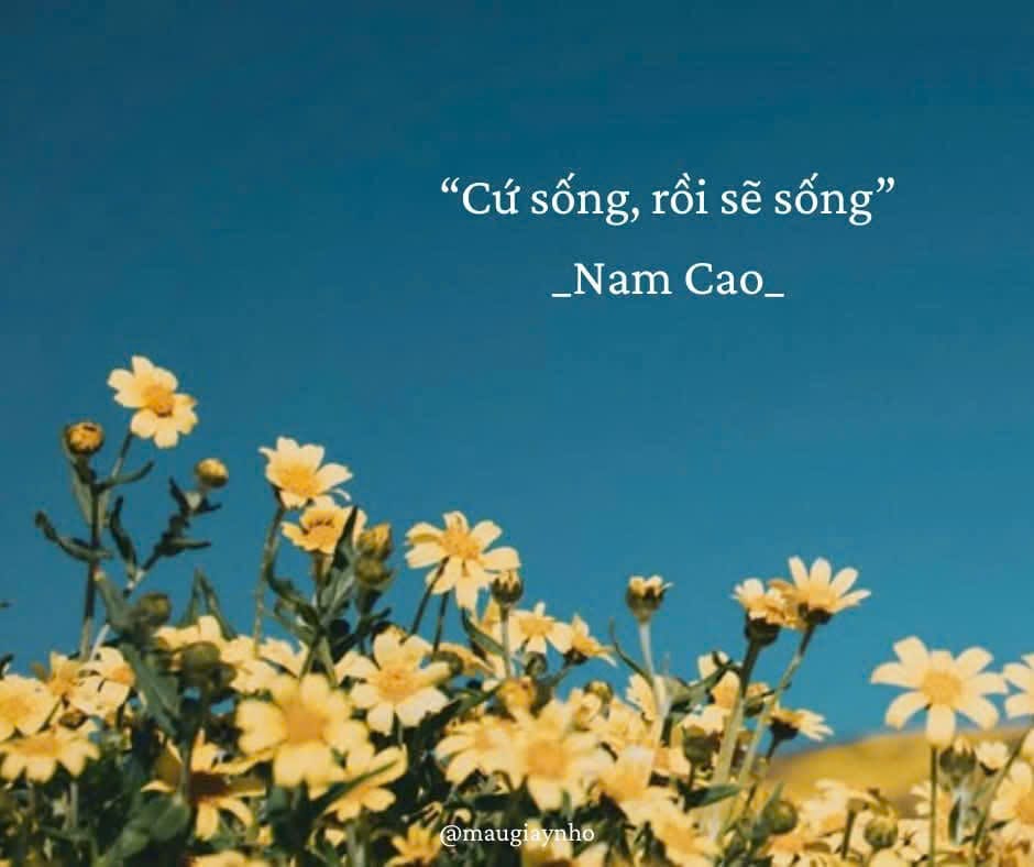 TUẦN THƠ 46: NÓI VỚI NHAU Ở MỘT QUÁN SUSHI