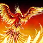 cánh phương hoàng