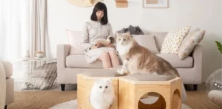 Modern and minimal cat-friendly products designed to help cat lovers and their pets bond better! | Các sản phẩm hiện đại và tối giản thân thiện với mèo được thiết kế để giúp những người yêu mèo và thú cưng của họ gắn kết tốt hơn!