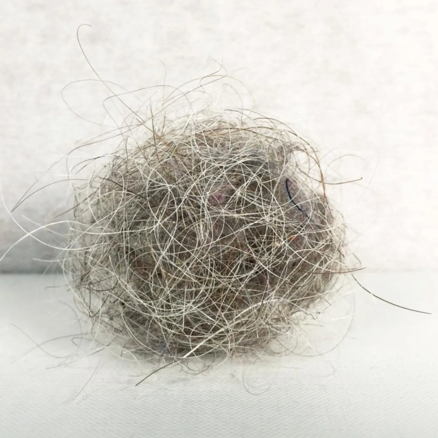 Thơ tân hình thức, trải nghiệm và chiêm nghiệm All I Could do Was Sit and Collect Dust by Jonathan Mayhew has been shortlisted for the Zurich Portrait Prize 2021