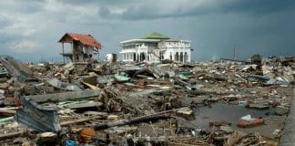 TÌNH NGƯỜI VÀ THƠ TÂN HÌNH THỨC