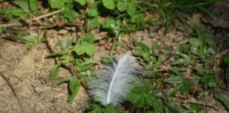 Thơ MRT: ‘Giữa đám mây bụi’ của Hsu Hui-chih